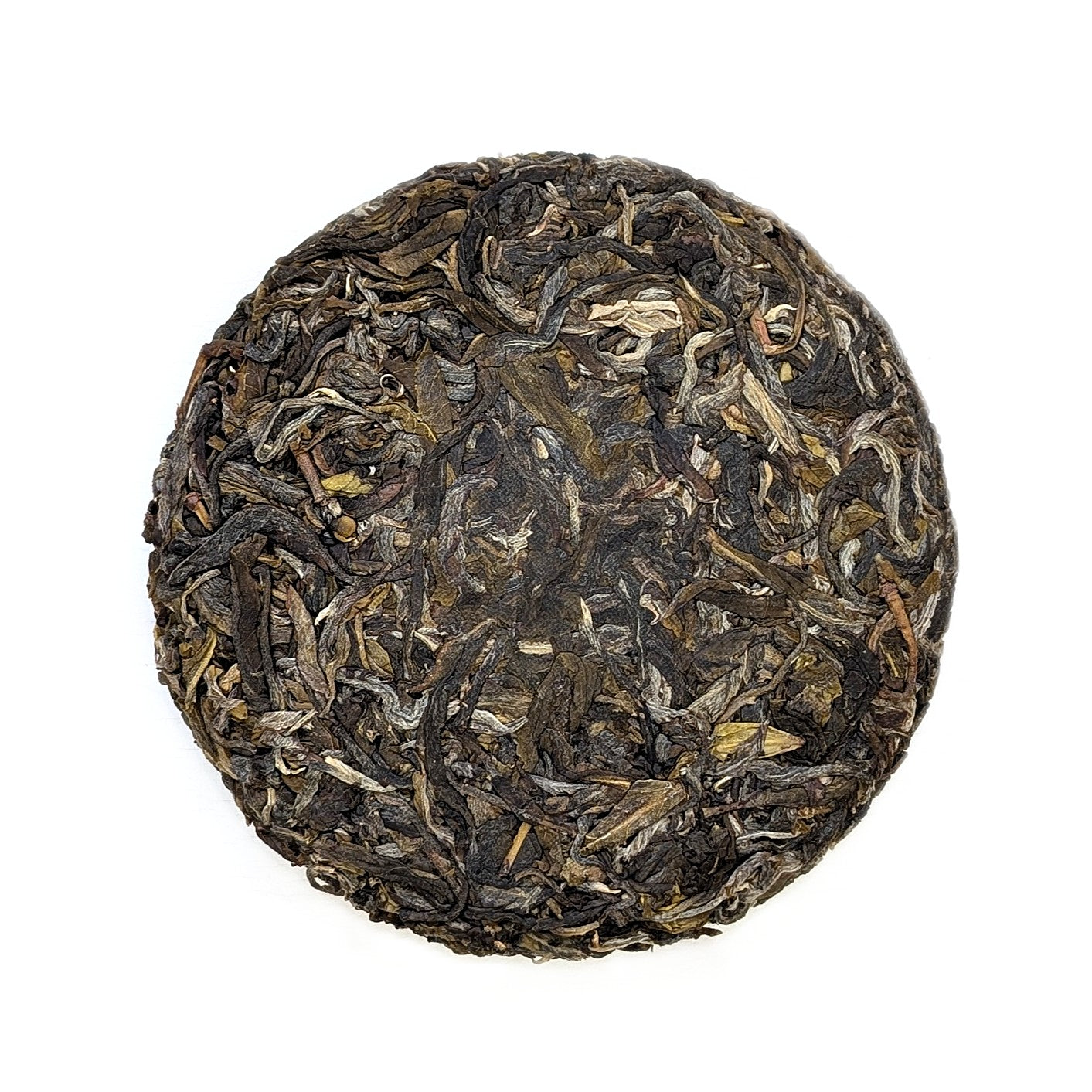 Тиша Десяти Лі