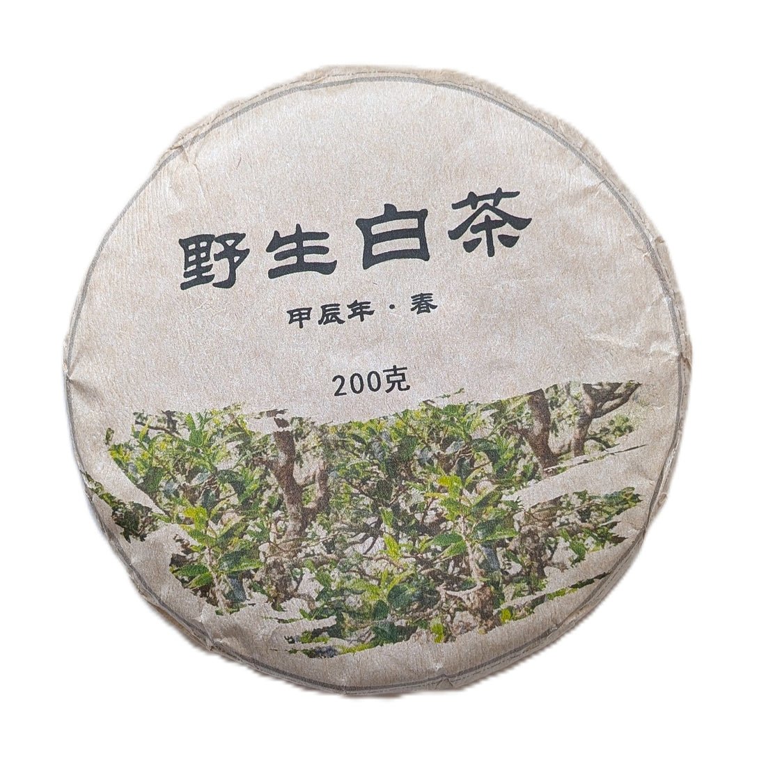 Дикий Білий Менхай Тяньде