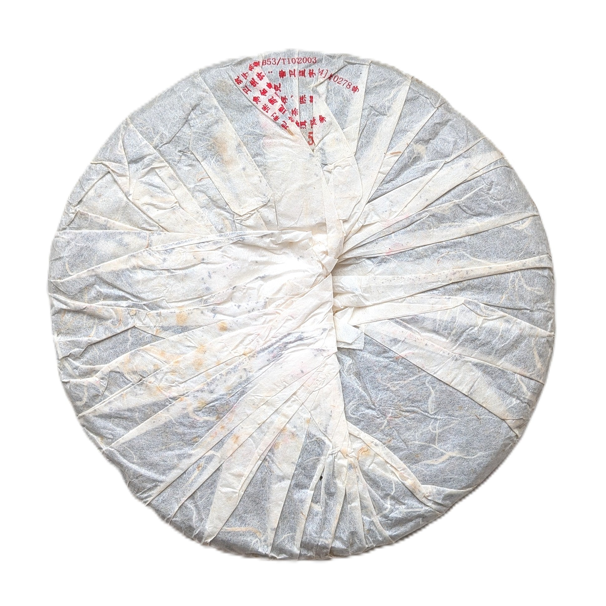 Гу Цяо Цін Бін 2006