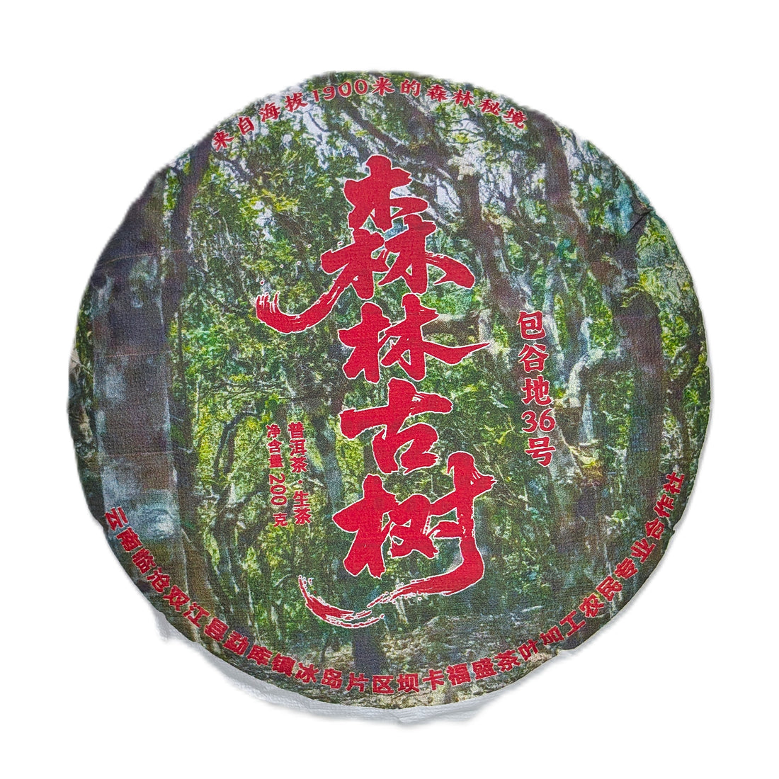 Шен Пуер Ліс Старих Дерев