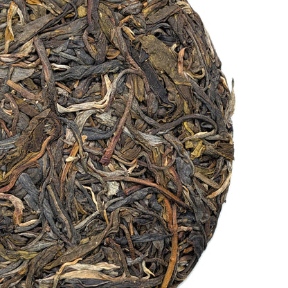 Шен Пуер Юй Цзянь