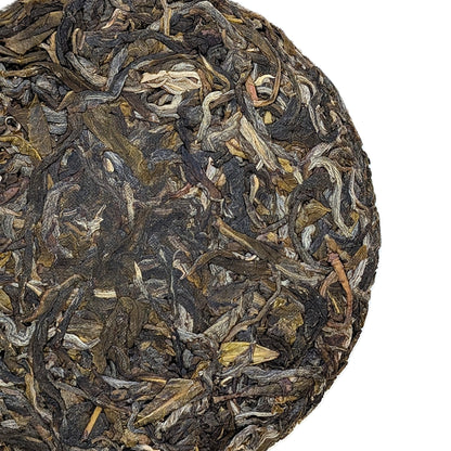 Тиша Десяти Лі